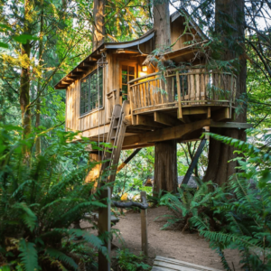 Treehouse